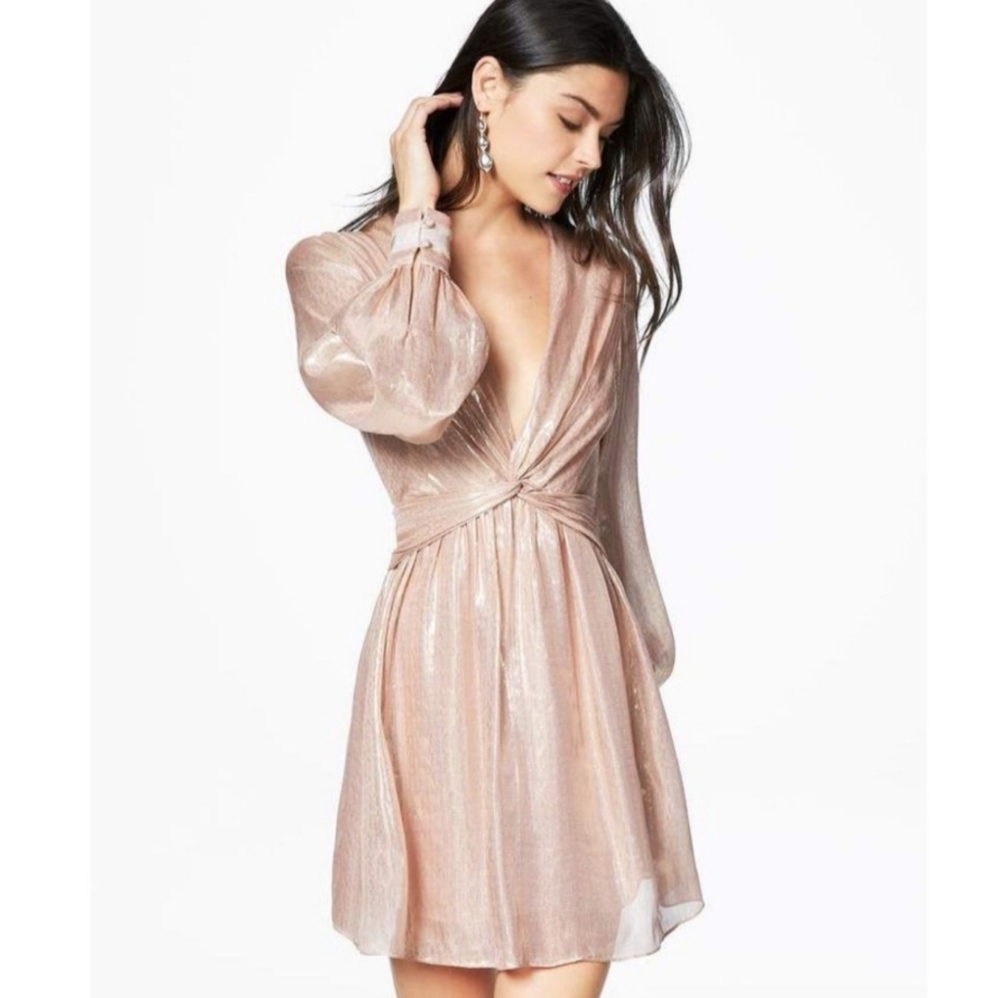 🧵Ramy Brook Silk Elise Metallic Blush Pink Long Sleeve Party Dress Size 10